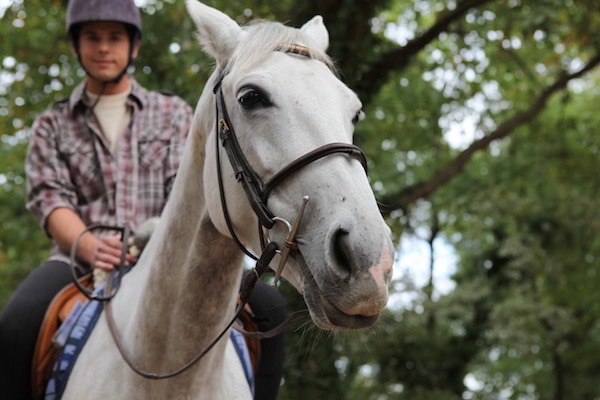 Garn-Isaf-Attractions-Horse-Riding-Pembrokeshire